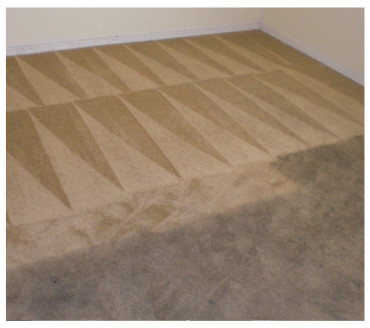 Carpet Steam & Dry 3