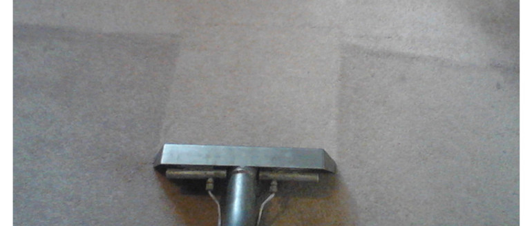 Carpet Steam & Dry 2