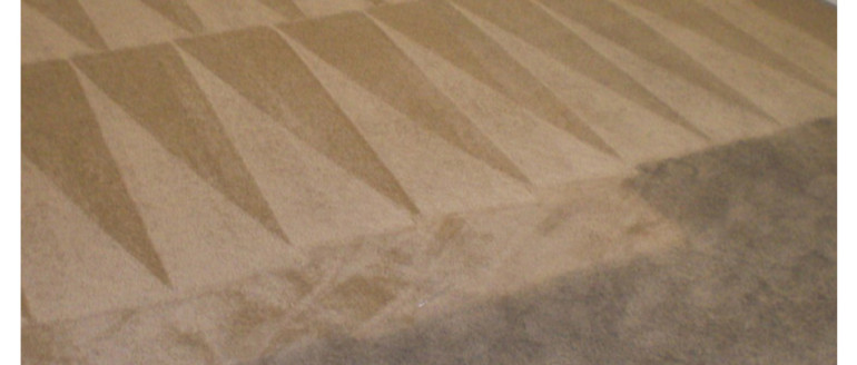 Carpet Steam & Dry 3