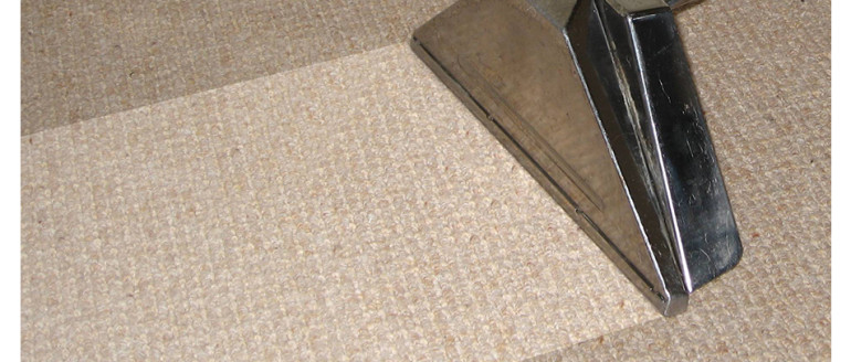 Carpet Steam & Dry 1