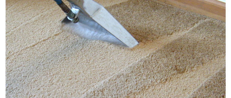 Carpet Steam & Dry 5