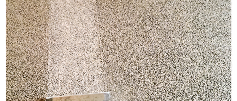 Carpet Steam & Dry 6